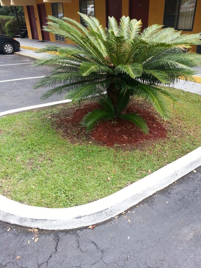 Howard Johnson By Wyndham Tallahassee Extérieur photo